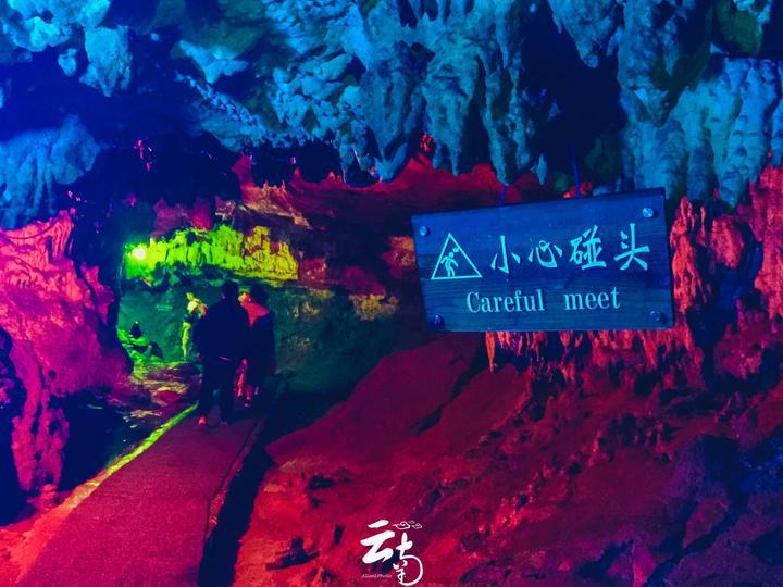 袋鼠兄弟2