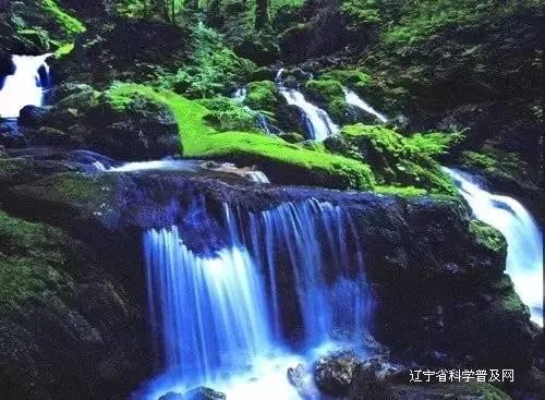 刚免职的鲍炳章,官宣被查