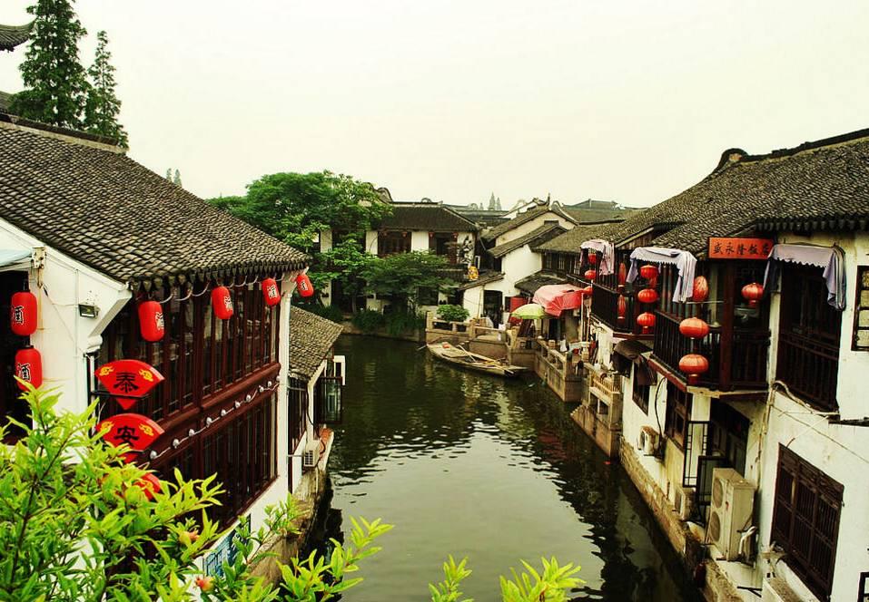 阴暗森林